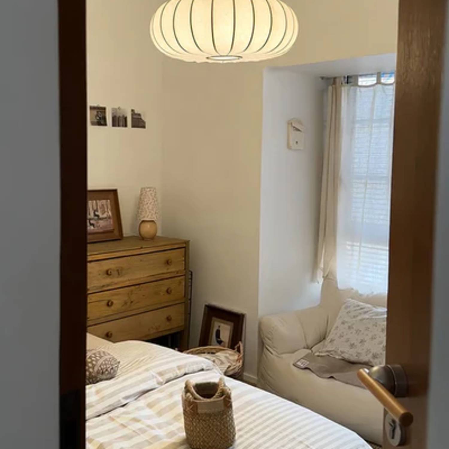 Zelexa Pendant Light