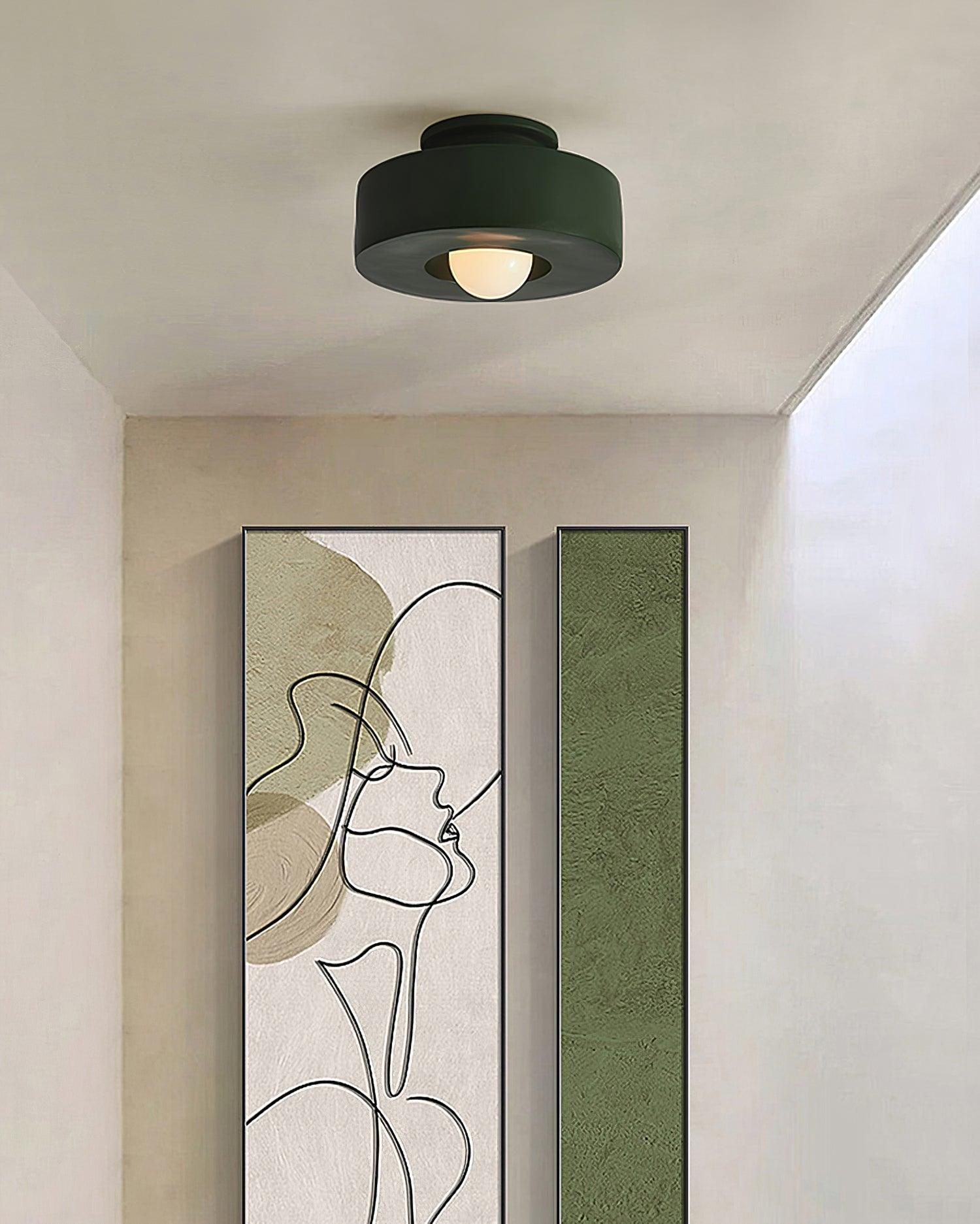Ivyo Ceiling Light