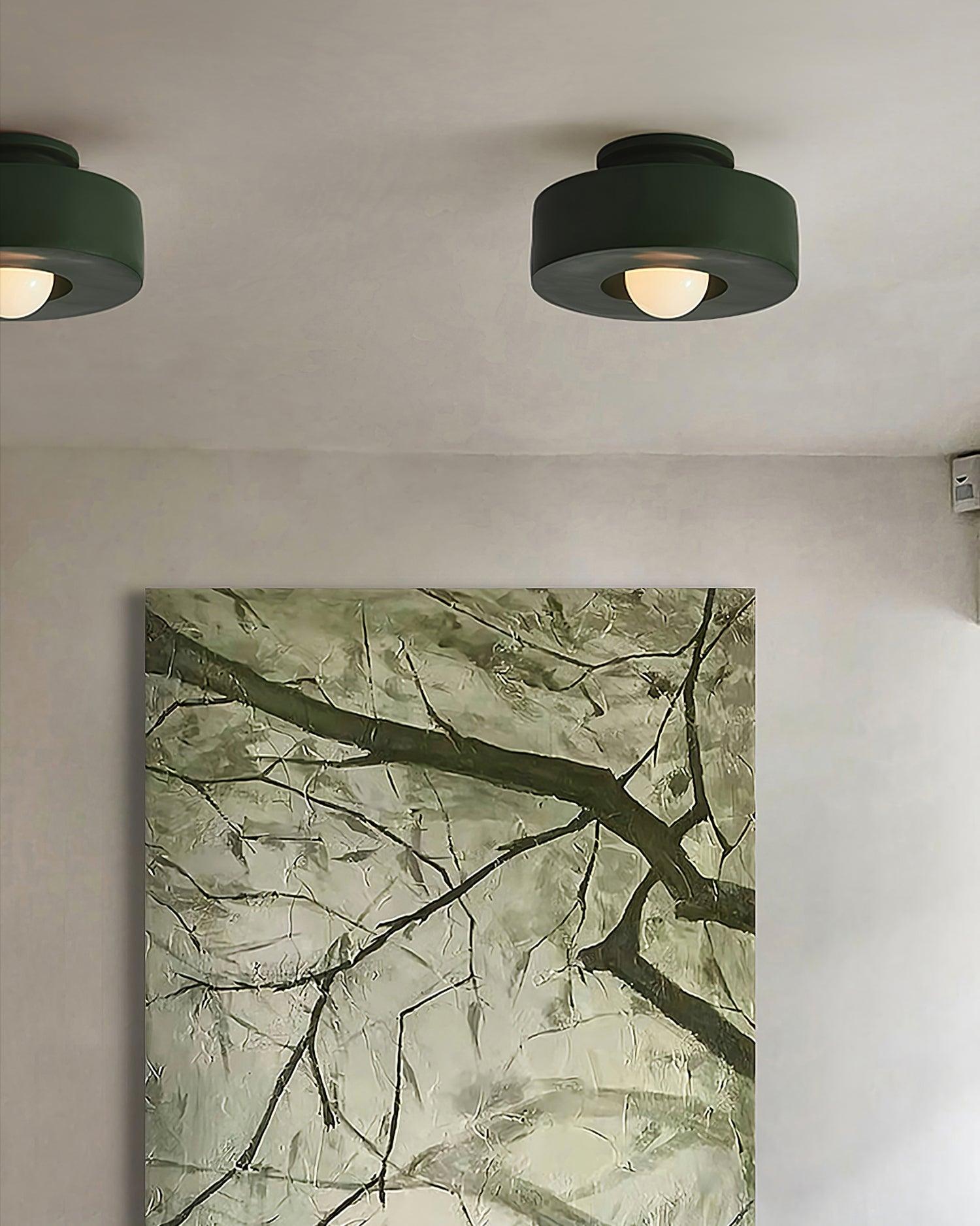 Ivyo Ceiling Light