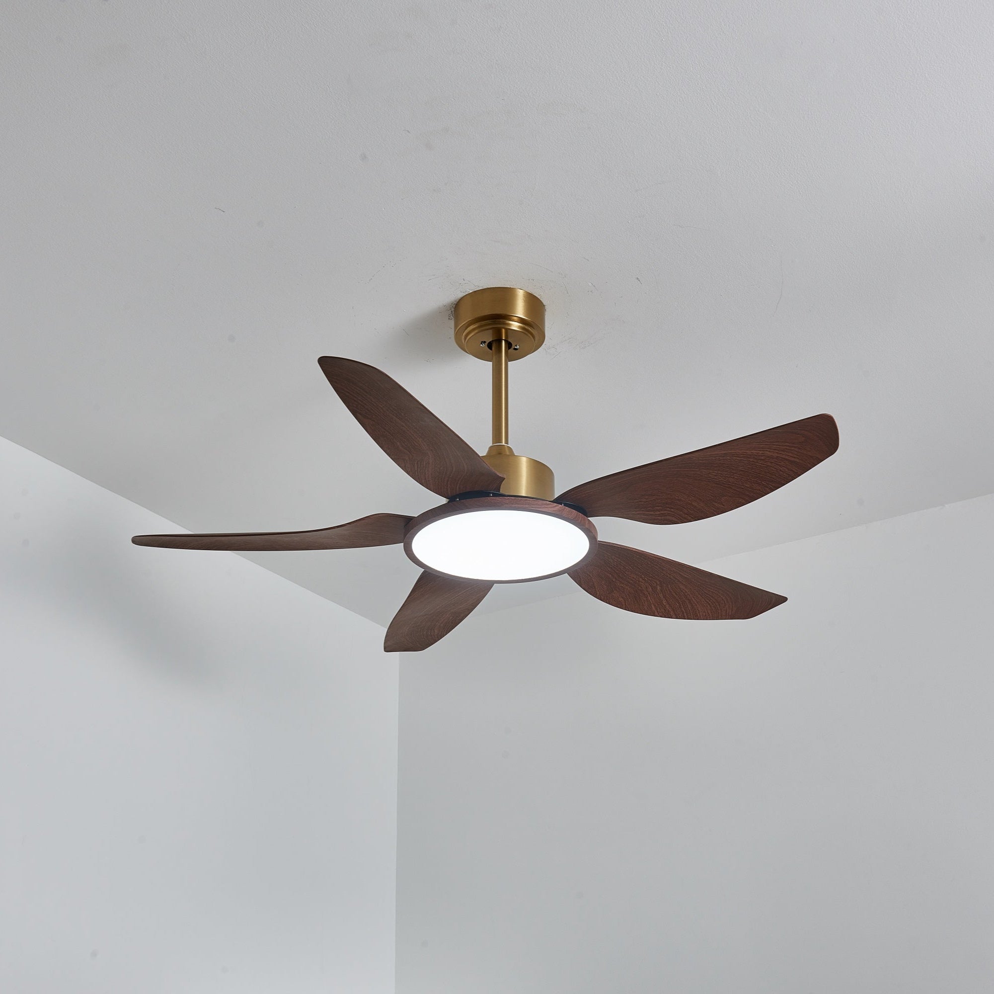 Sileno Ceiling Fan