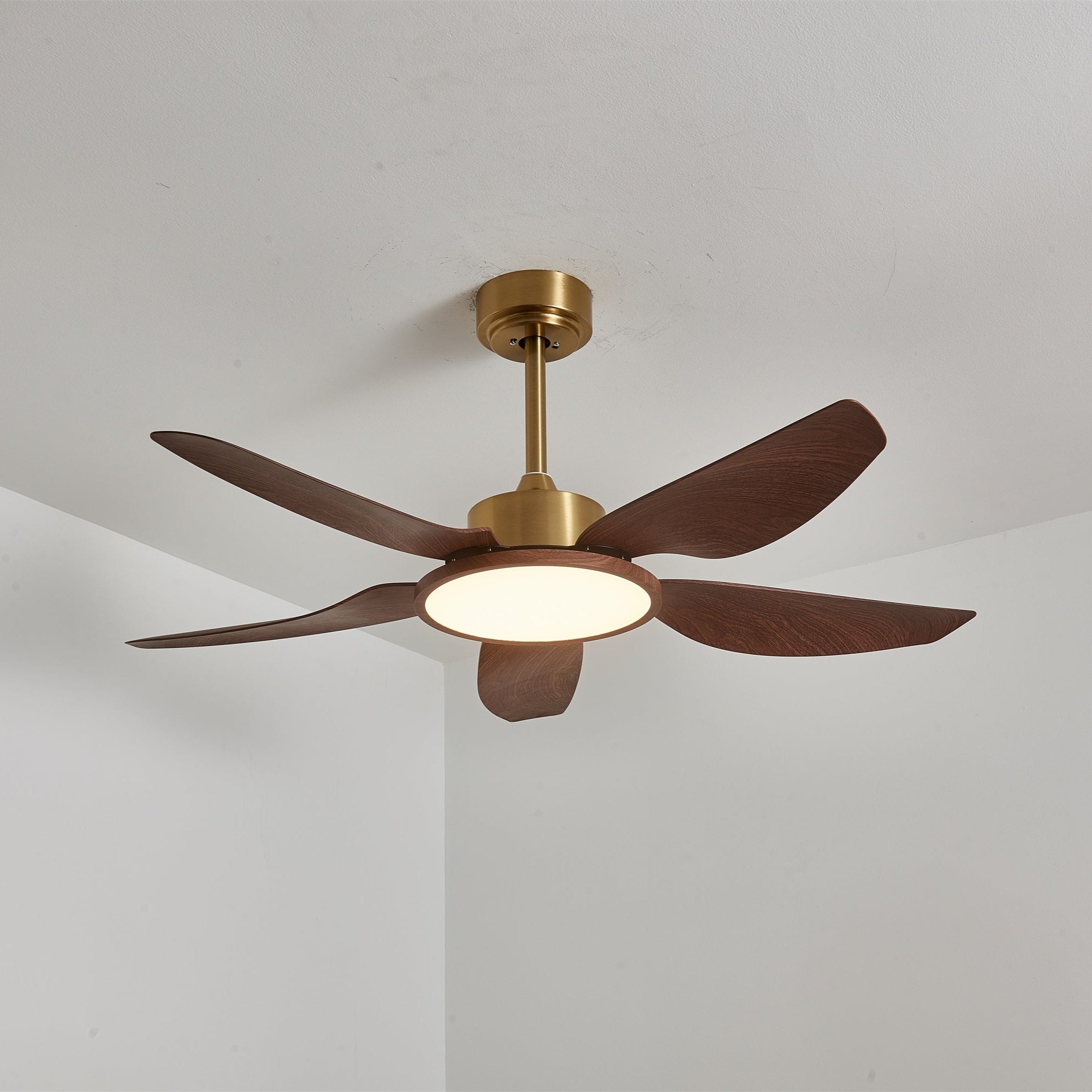 Sileno Ceiling Fan