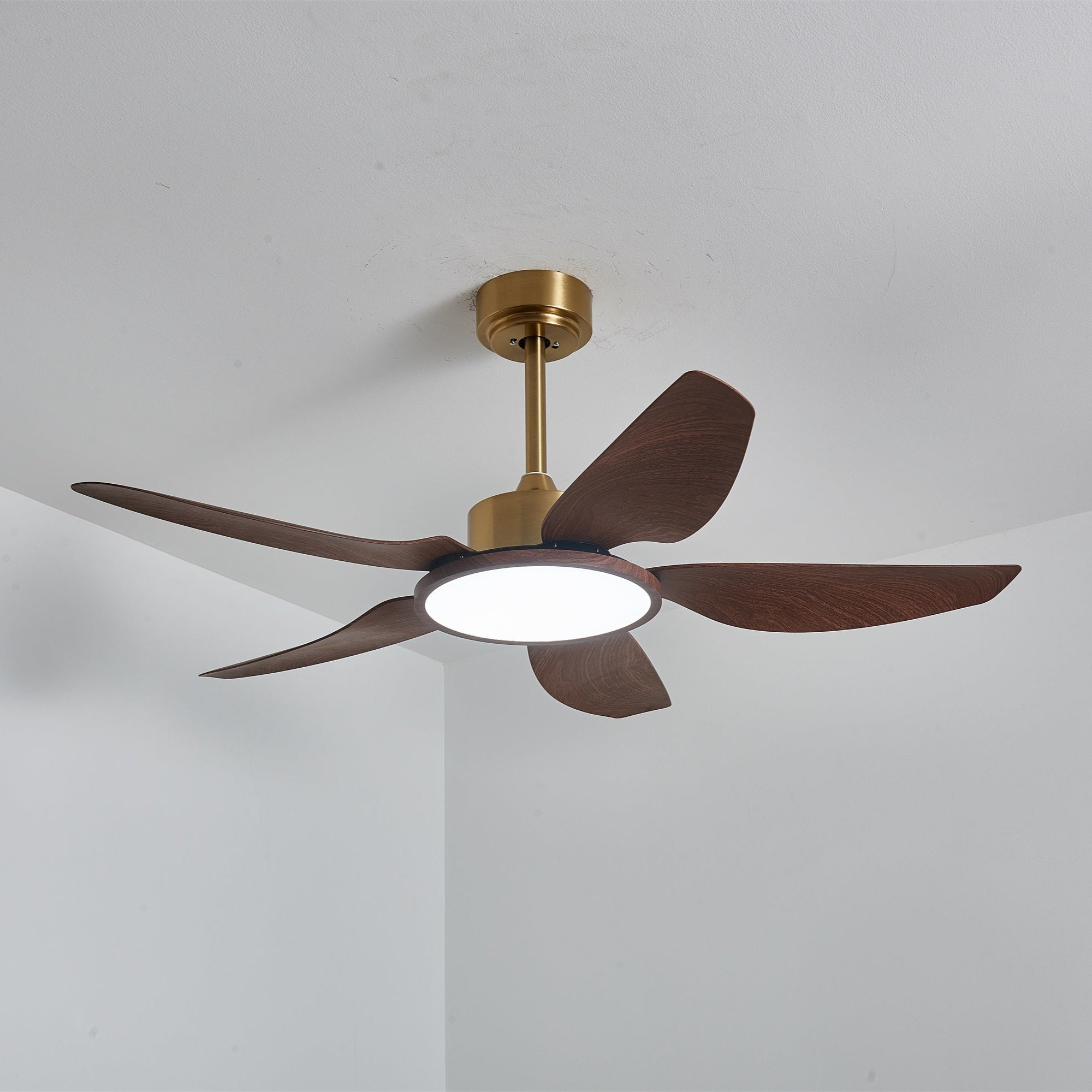 Sileno Ceiling Fan