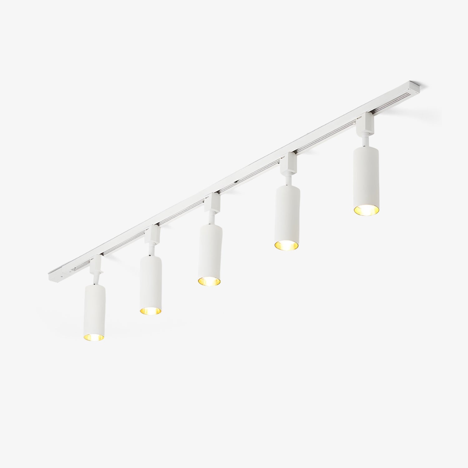 Sylonexis Ceiling Light