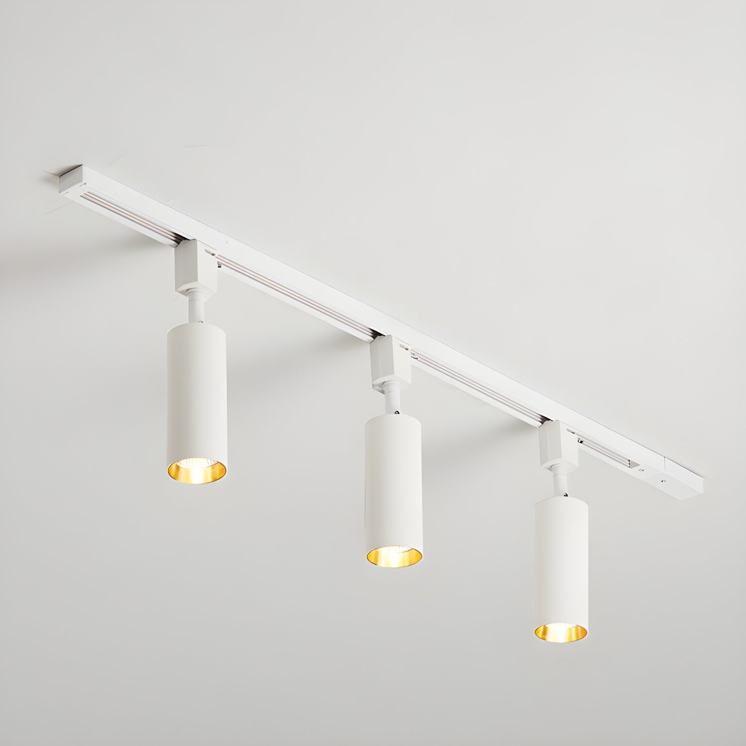 Sylonexis Ceiling Light