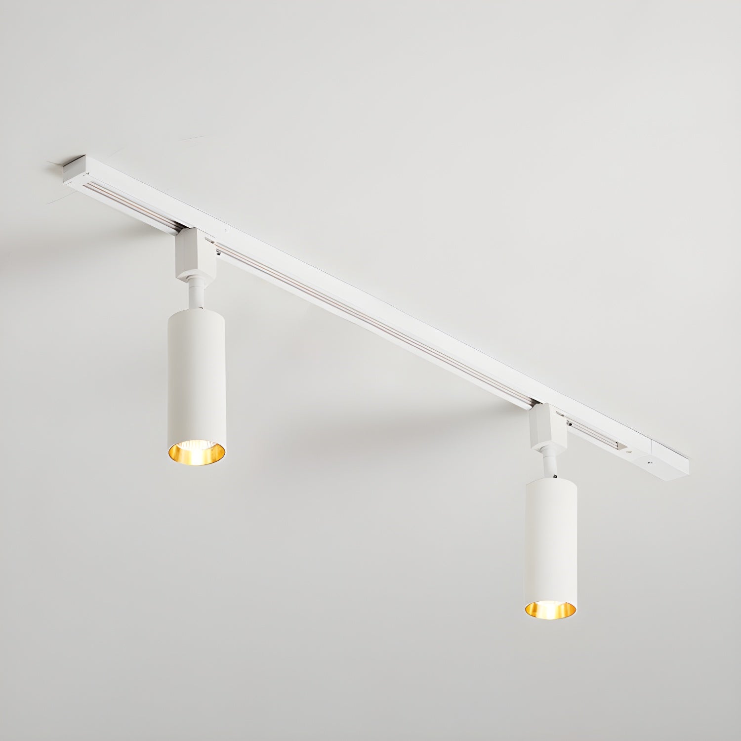 Sylonexis Ceiling Light