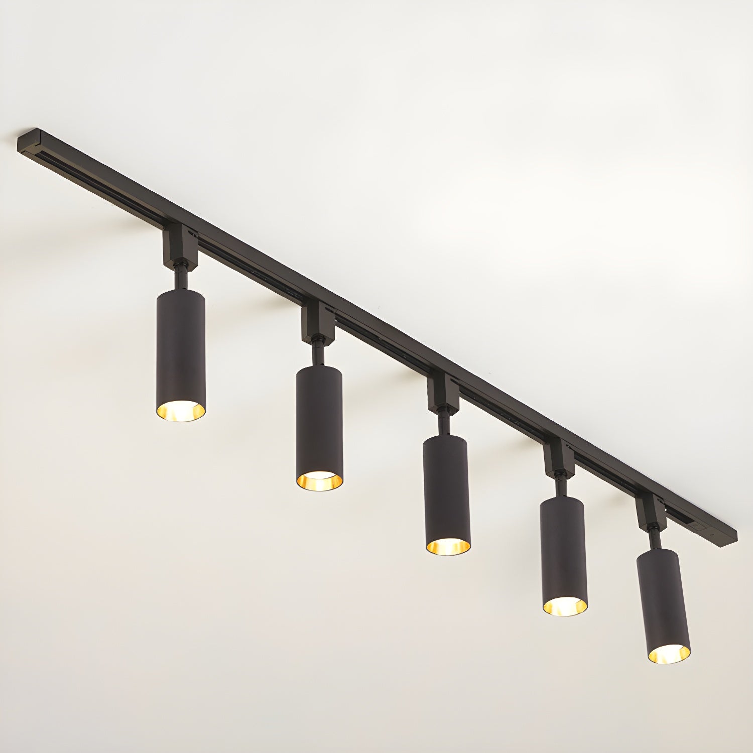 Sylonexis Ceiling Light