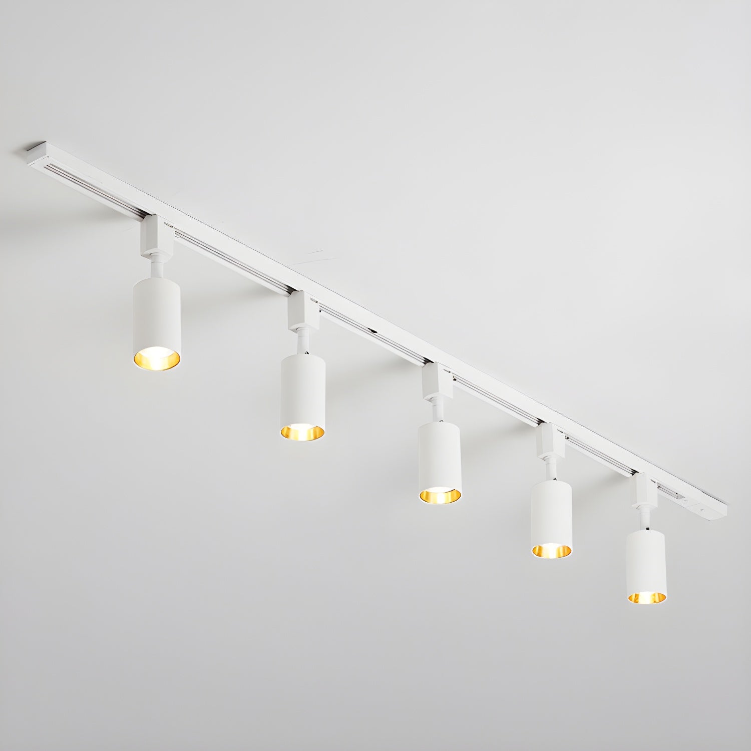 Sylonexis Ceiling Light