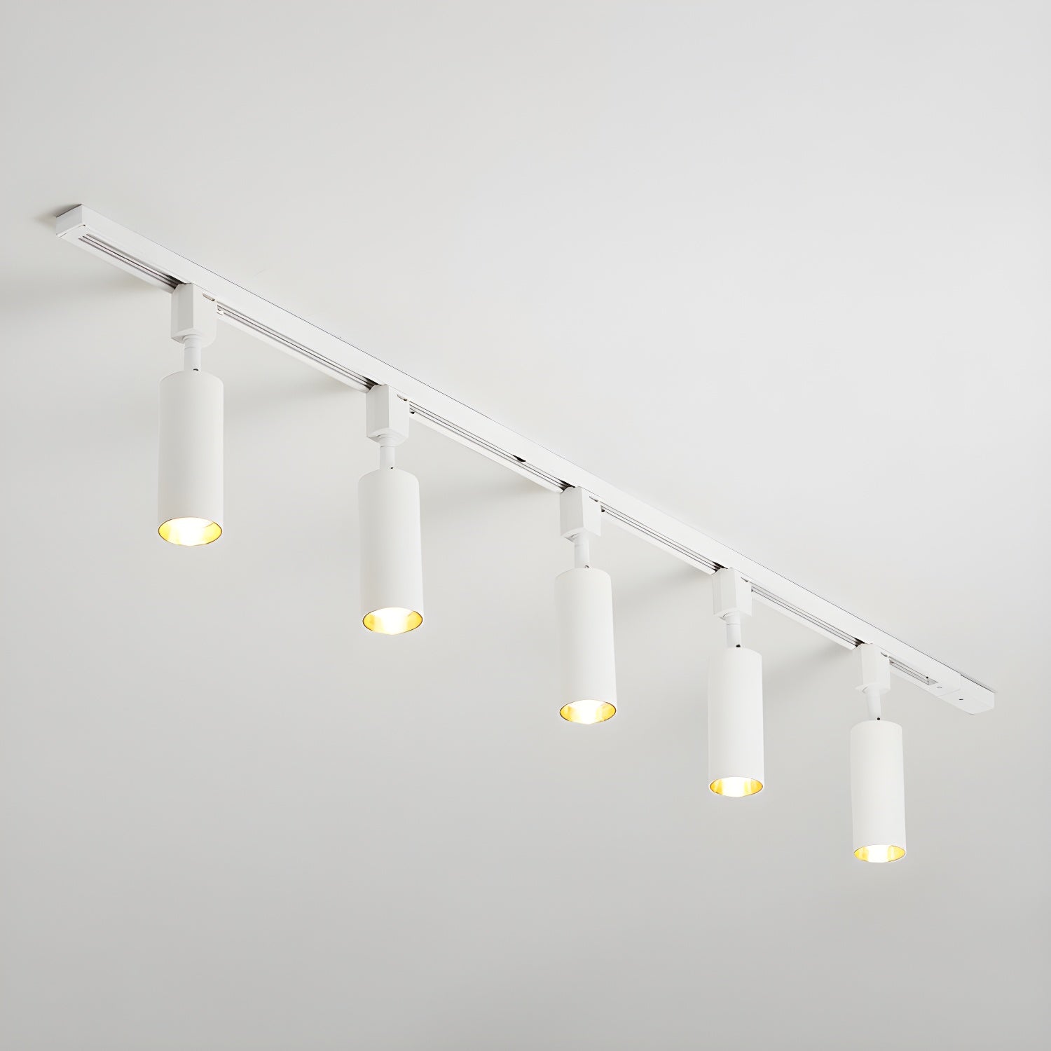 Sylonexis Ceiling Light