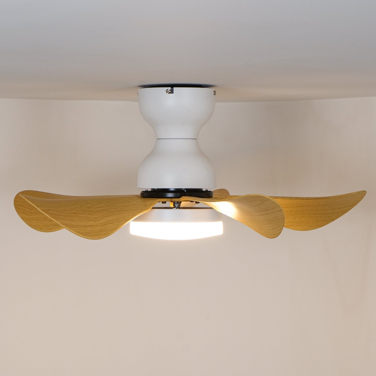 Lyrela LED Ceiling Fan