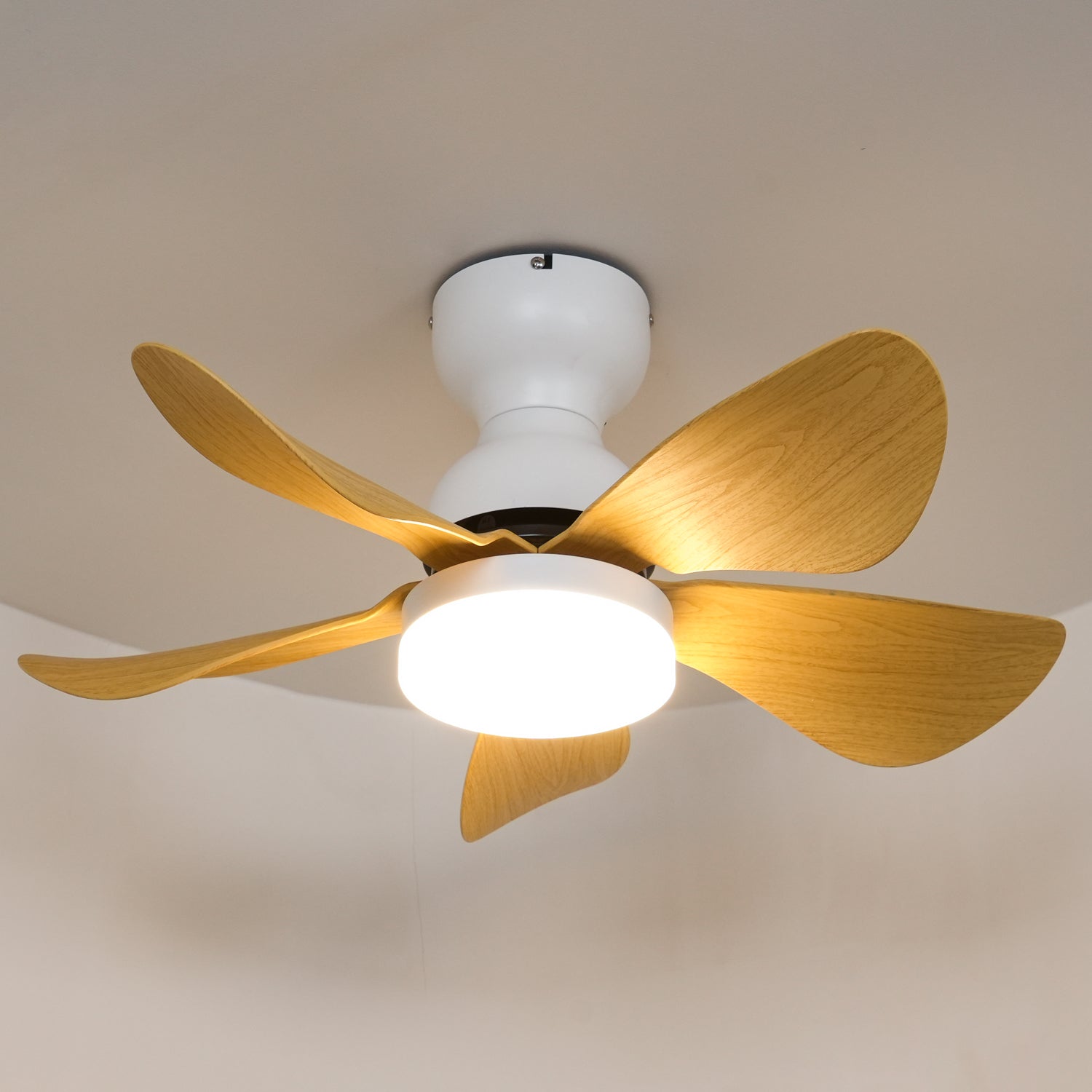 Lyrela LED Ceiling Fan