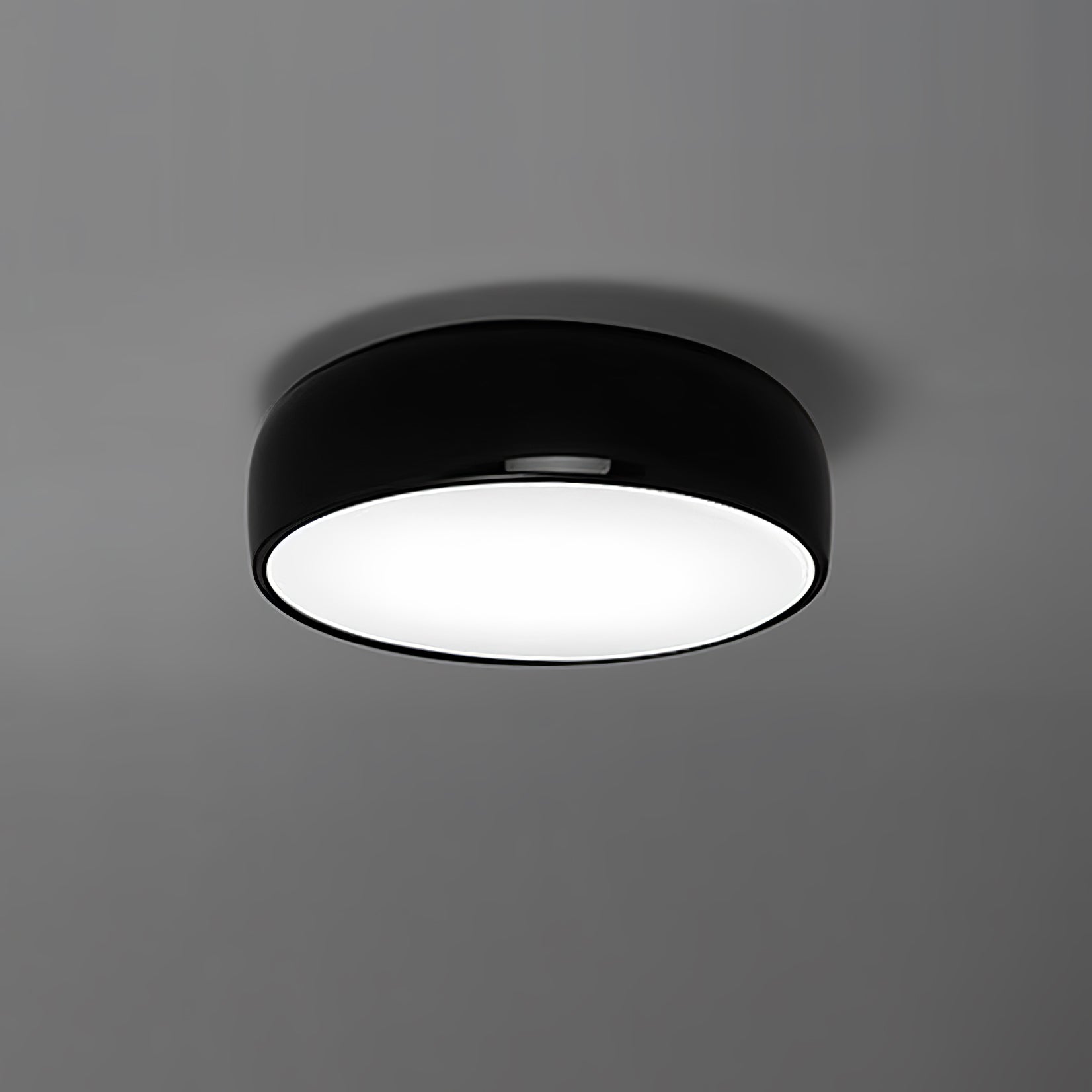 Dacero Ceiling Light