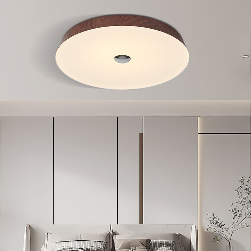 Solinca Ceiling Light