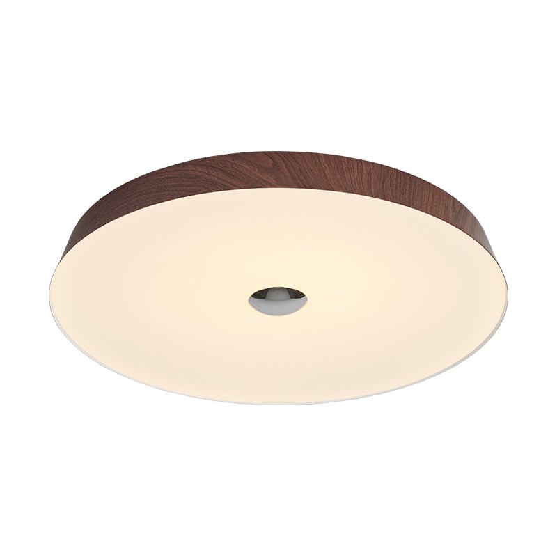 Solinca Ceiling Light
