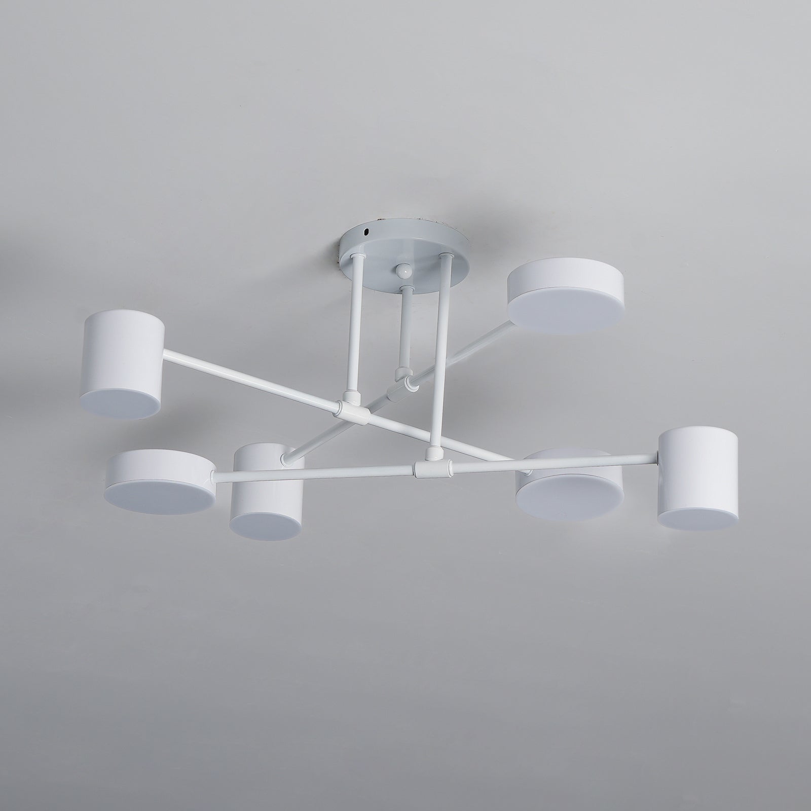 Siponic Ceiling Light