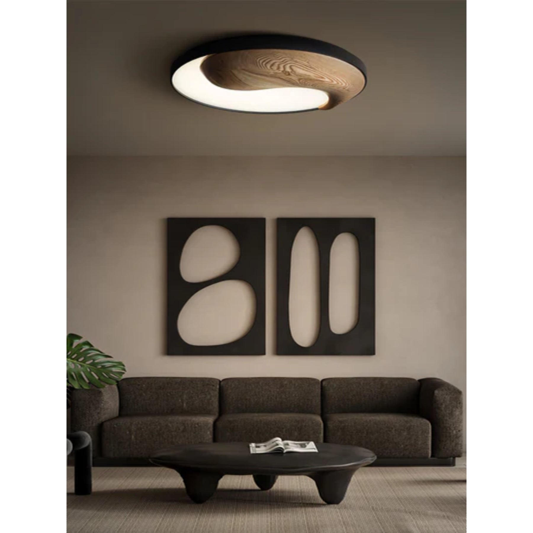 YinYang Design Ceiling Light