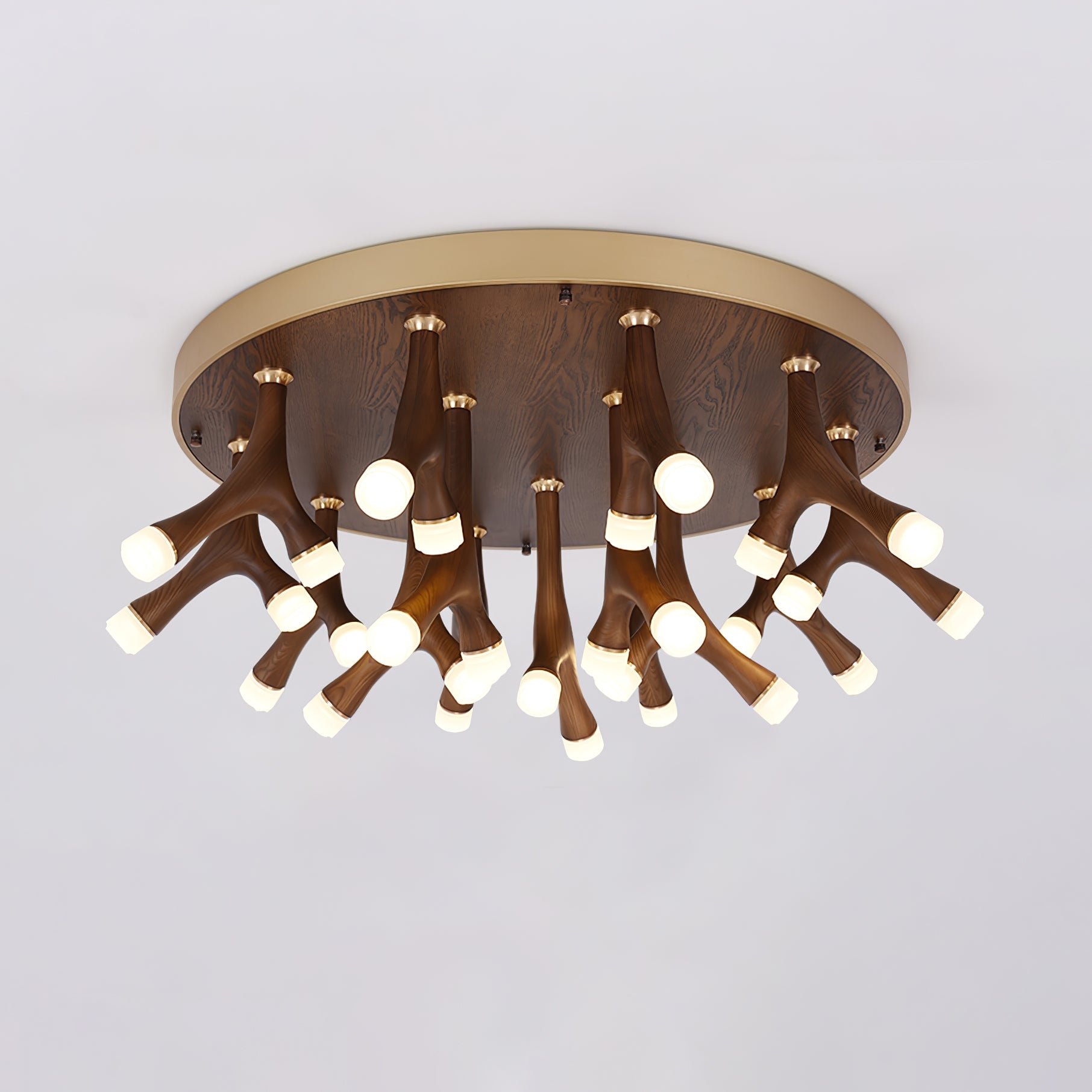 Tentazo Ceiling Light