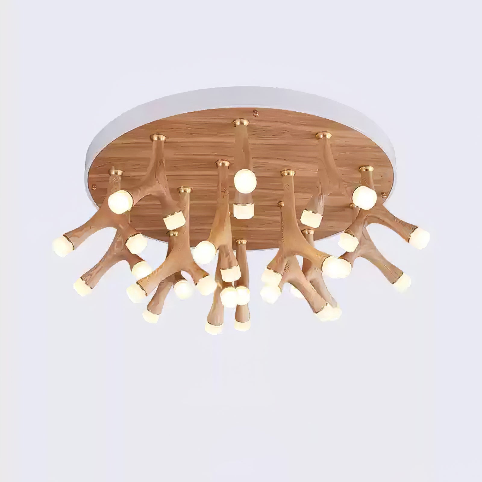 Tentazo Ceiling Light