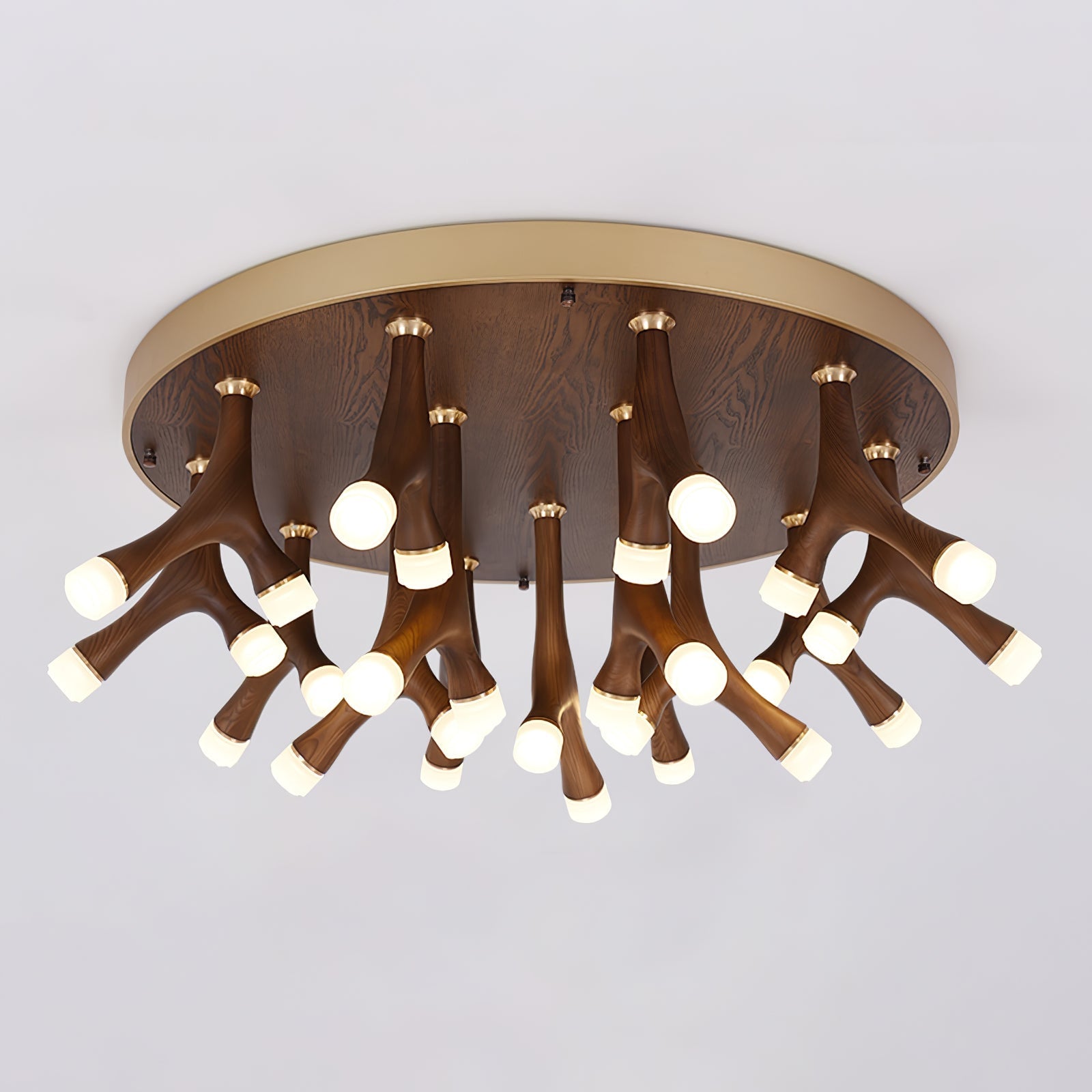 Tentazo Ceiling Light