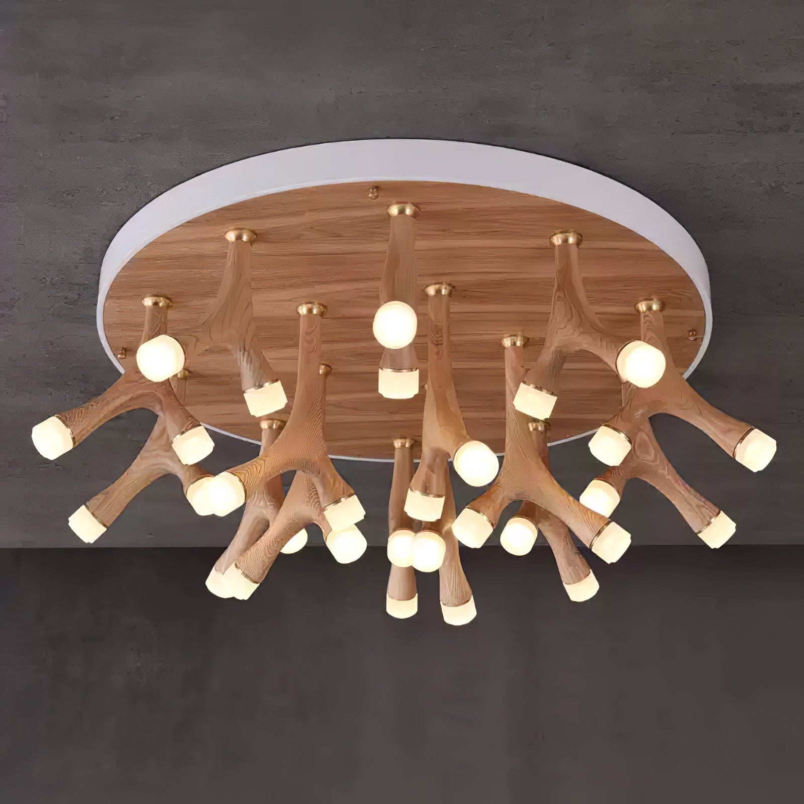 Tentazo Ceiling Light