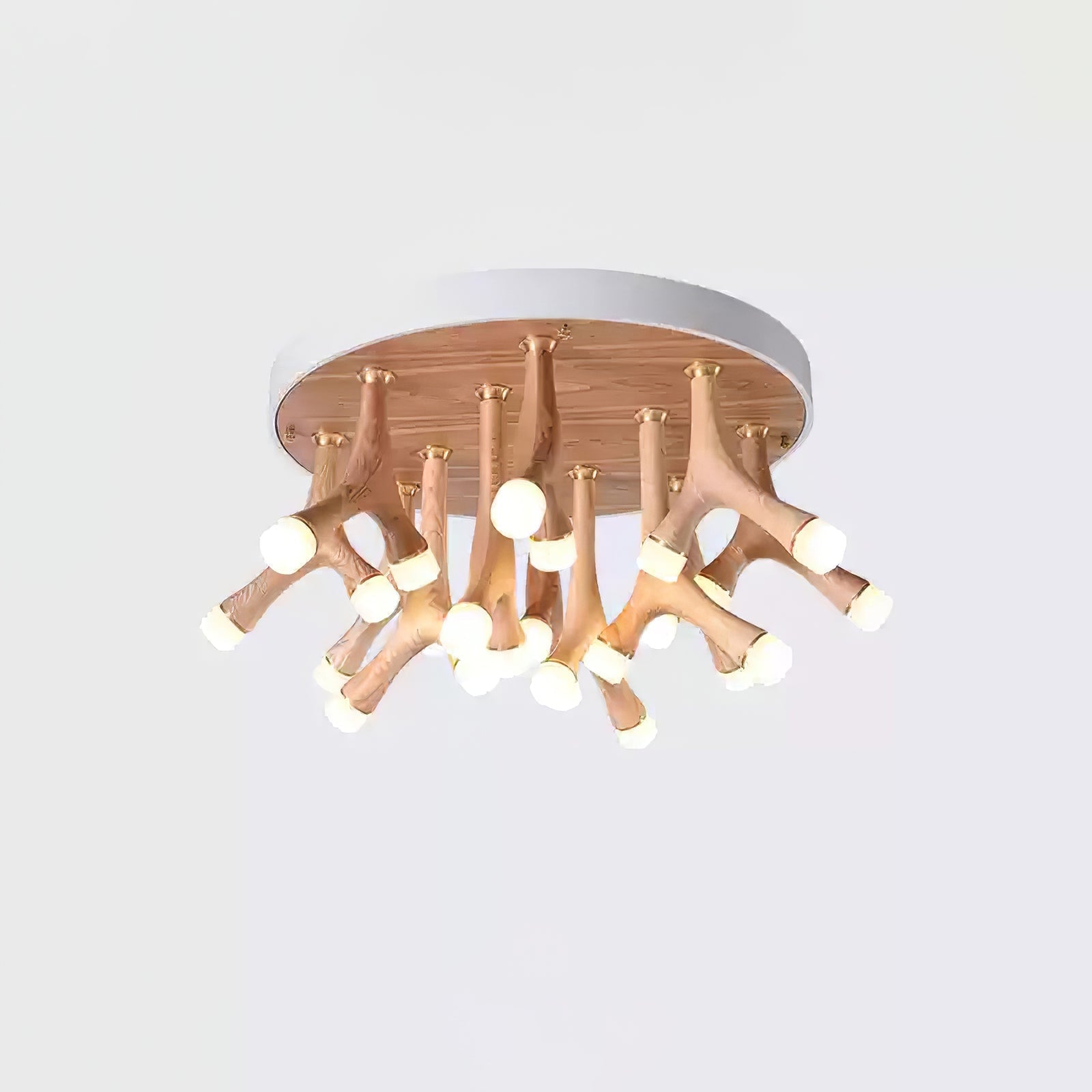 Tentazo Ceiling Light