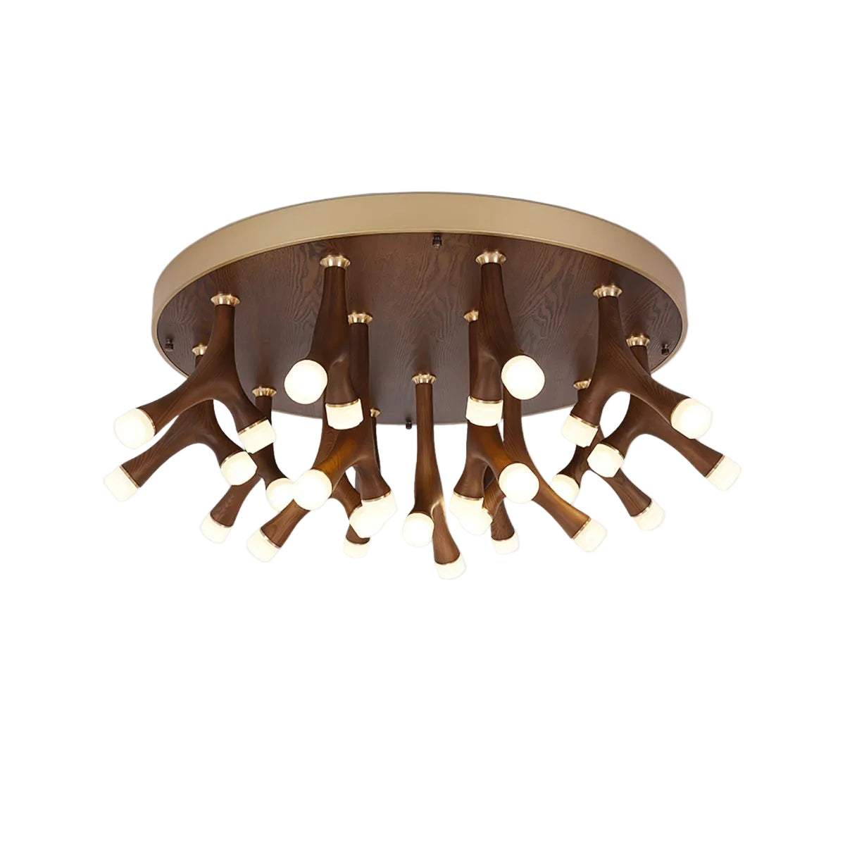 Tentazo Ceiling Light