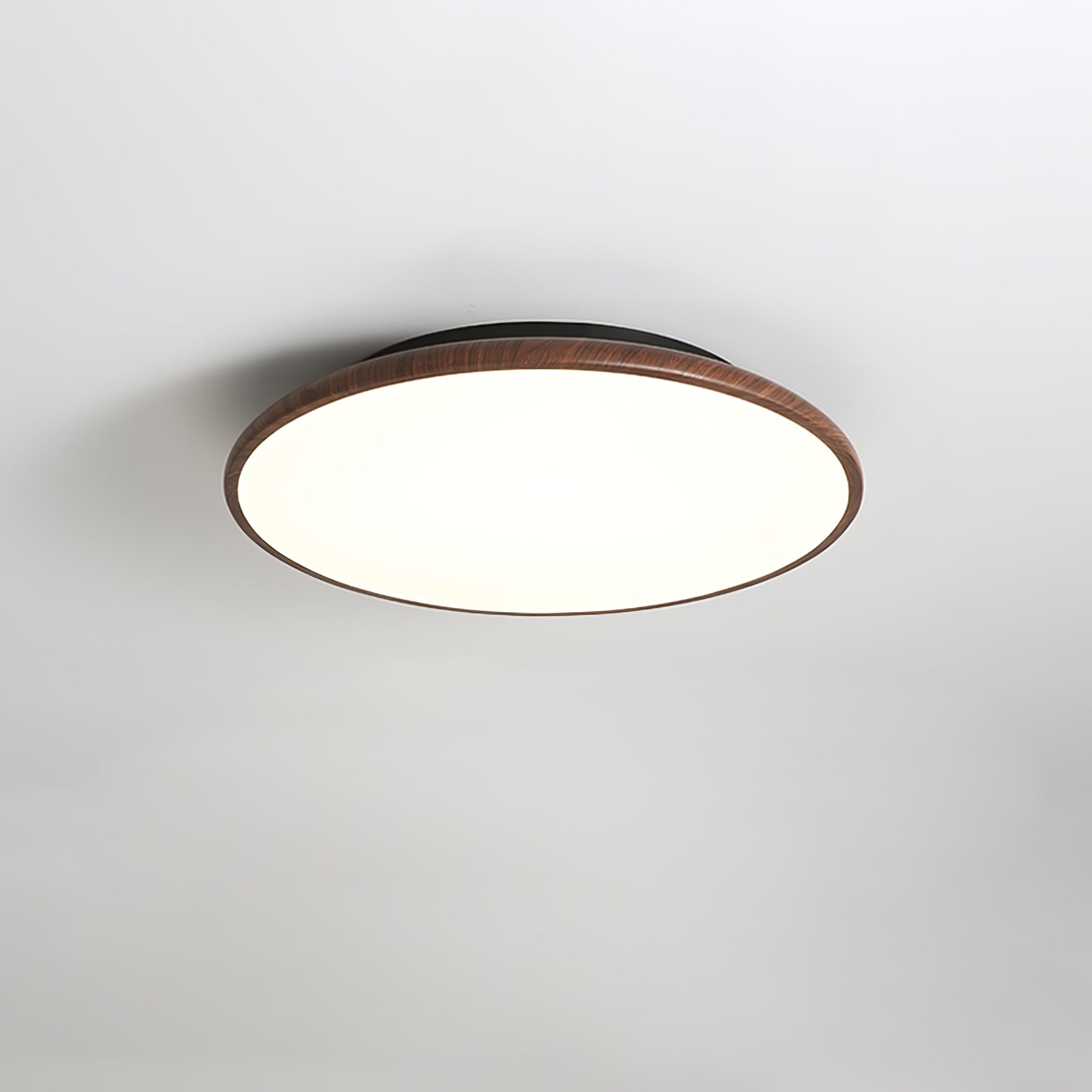 Fayana Ceiling Light