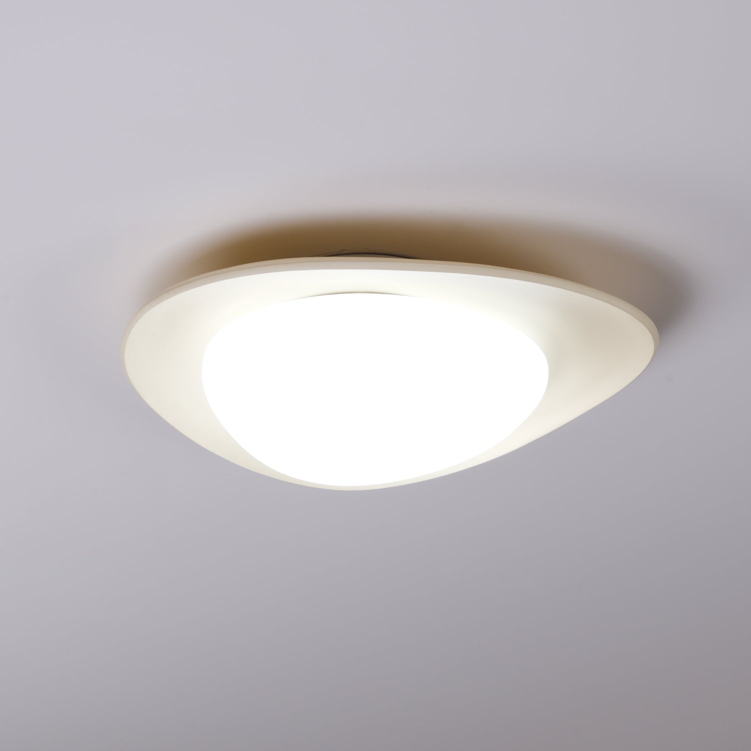 Fiolyn Leaf Ceiling Light