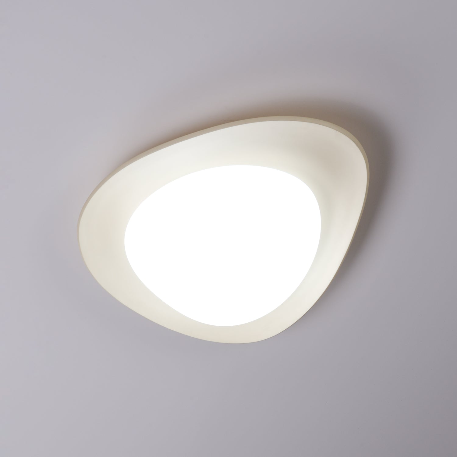 Fiolyn Leaf Ceiling Light