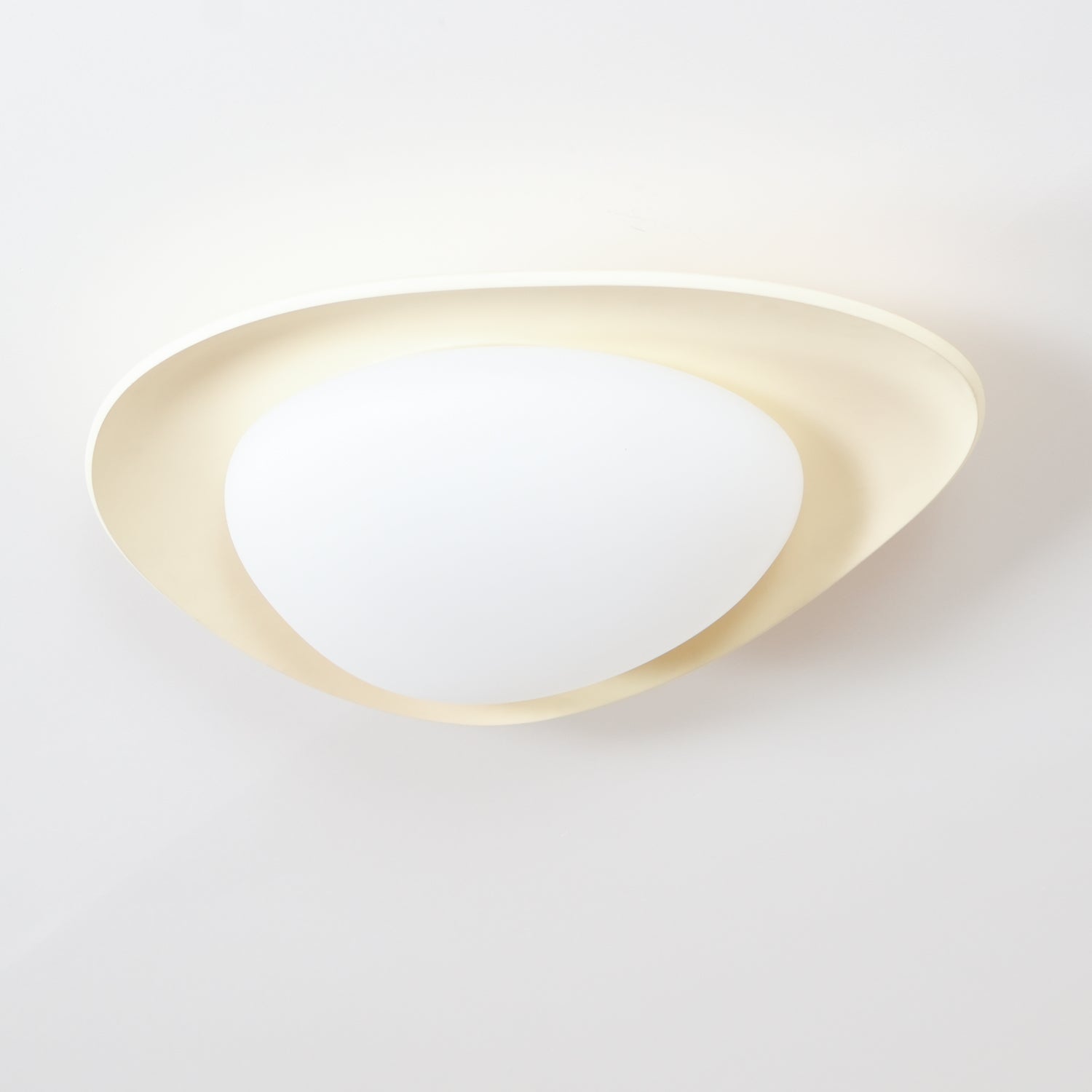 Fiolyn Leaf Ceiling Light