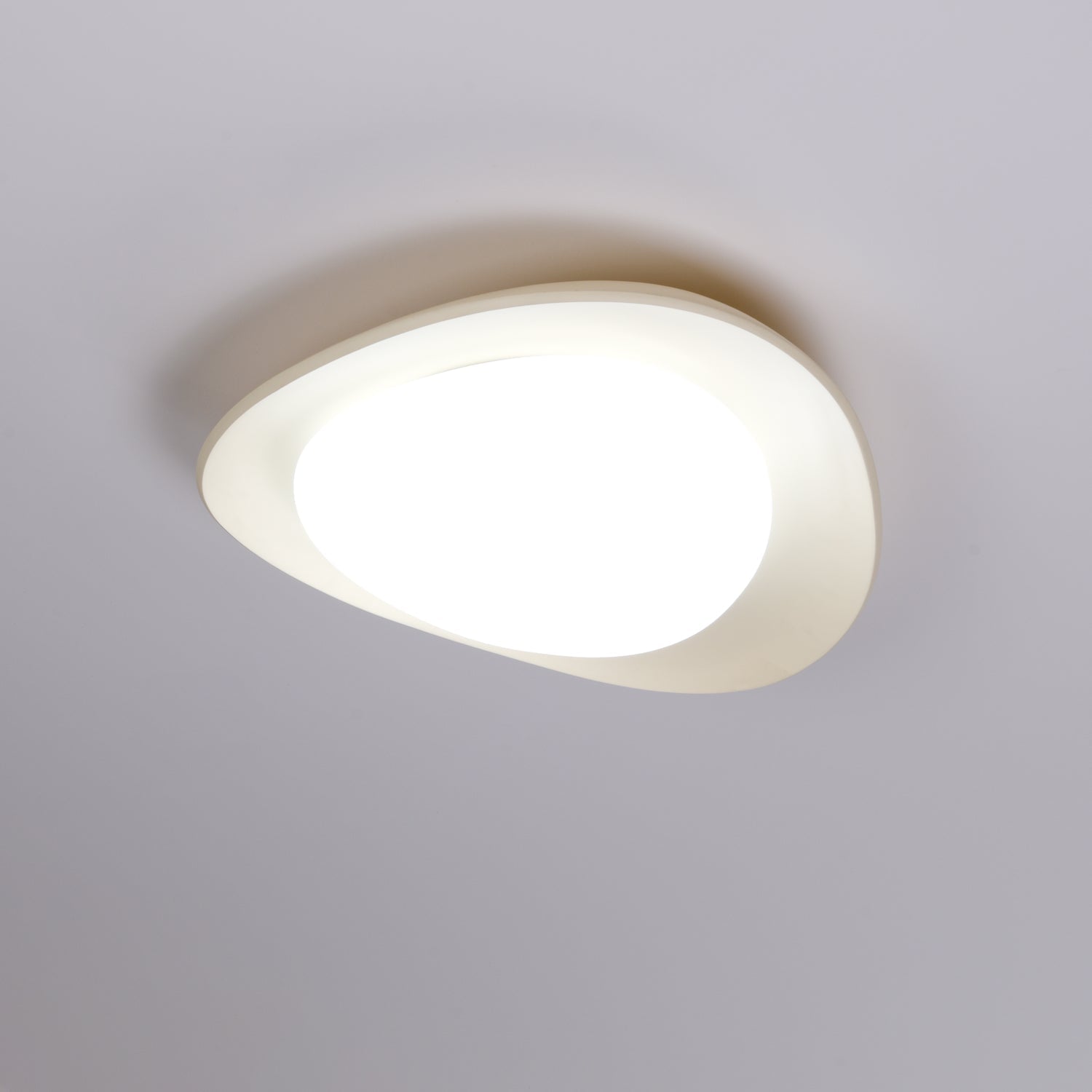 Fiolyn Leaf Ceiling Light