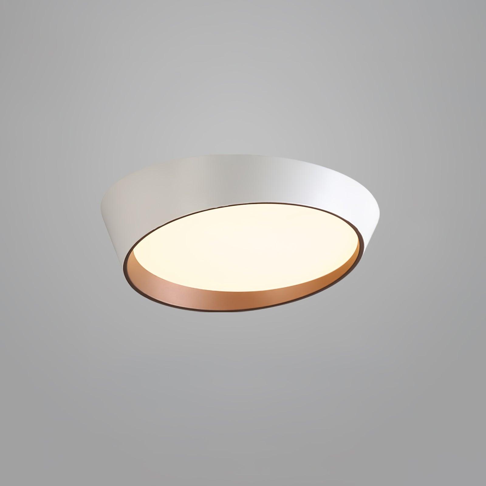 Mirvesso Ceiling Light