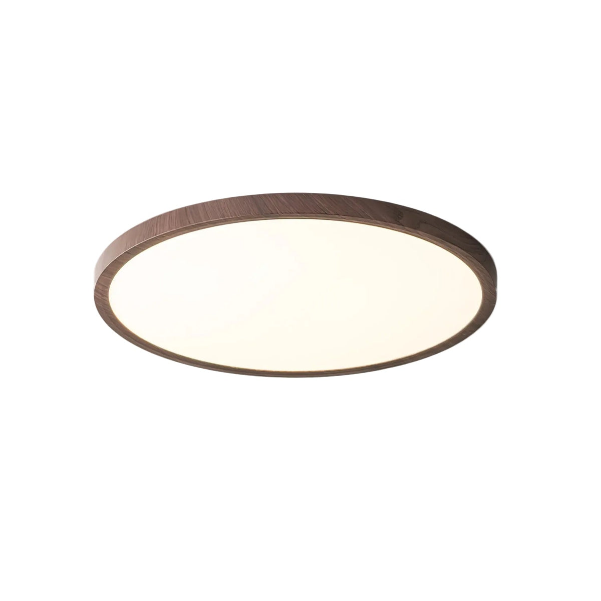 Arinoro Round Ceiling Light