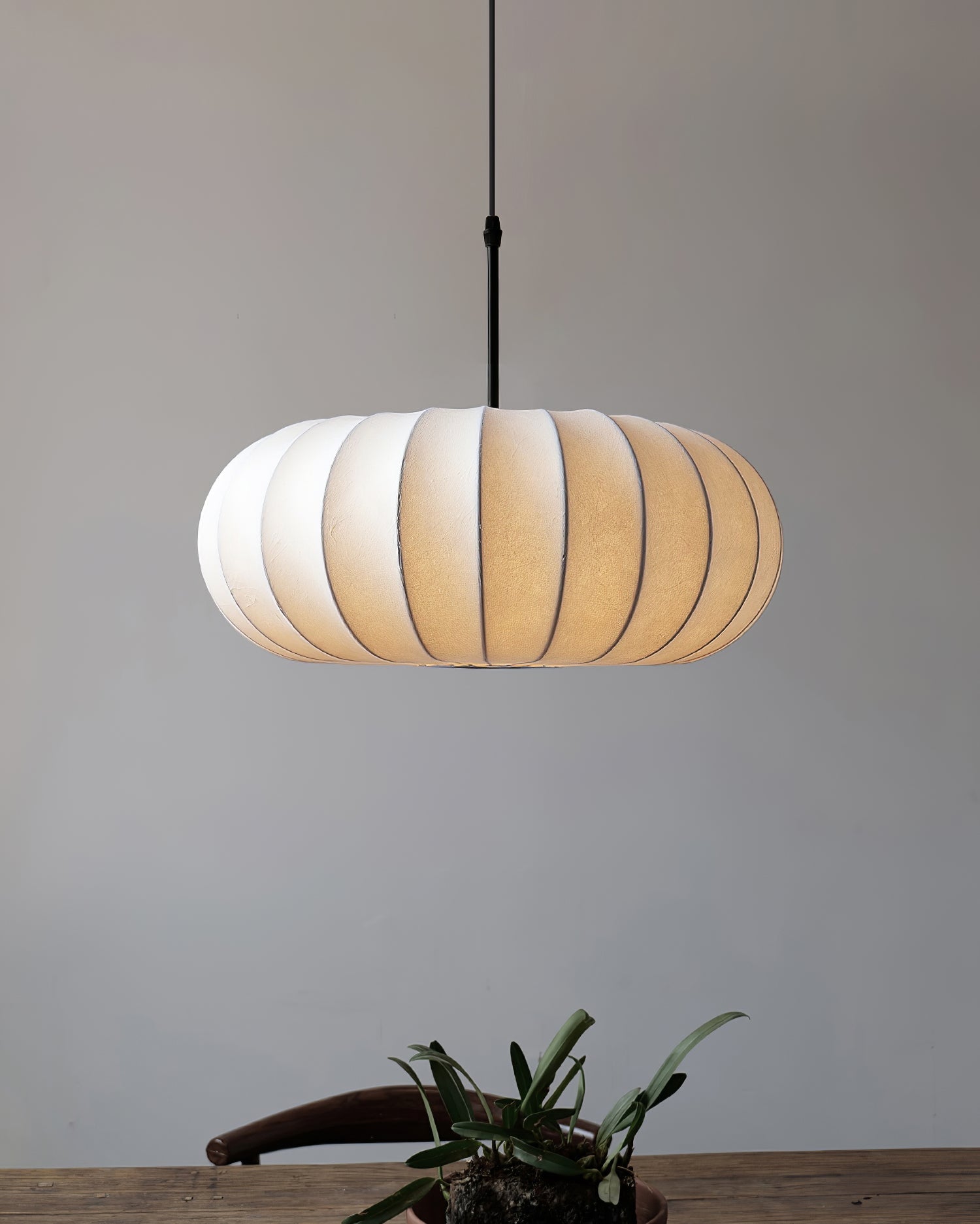 Camdale Plug In Pendant Light