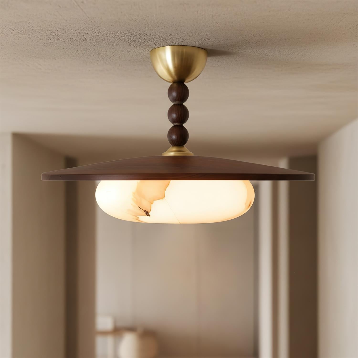 Wynnro Ceiling Light