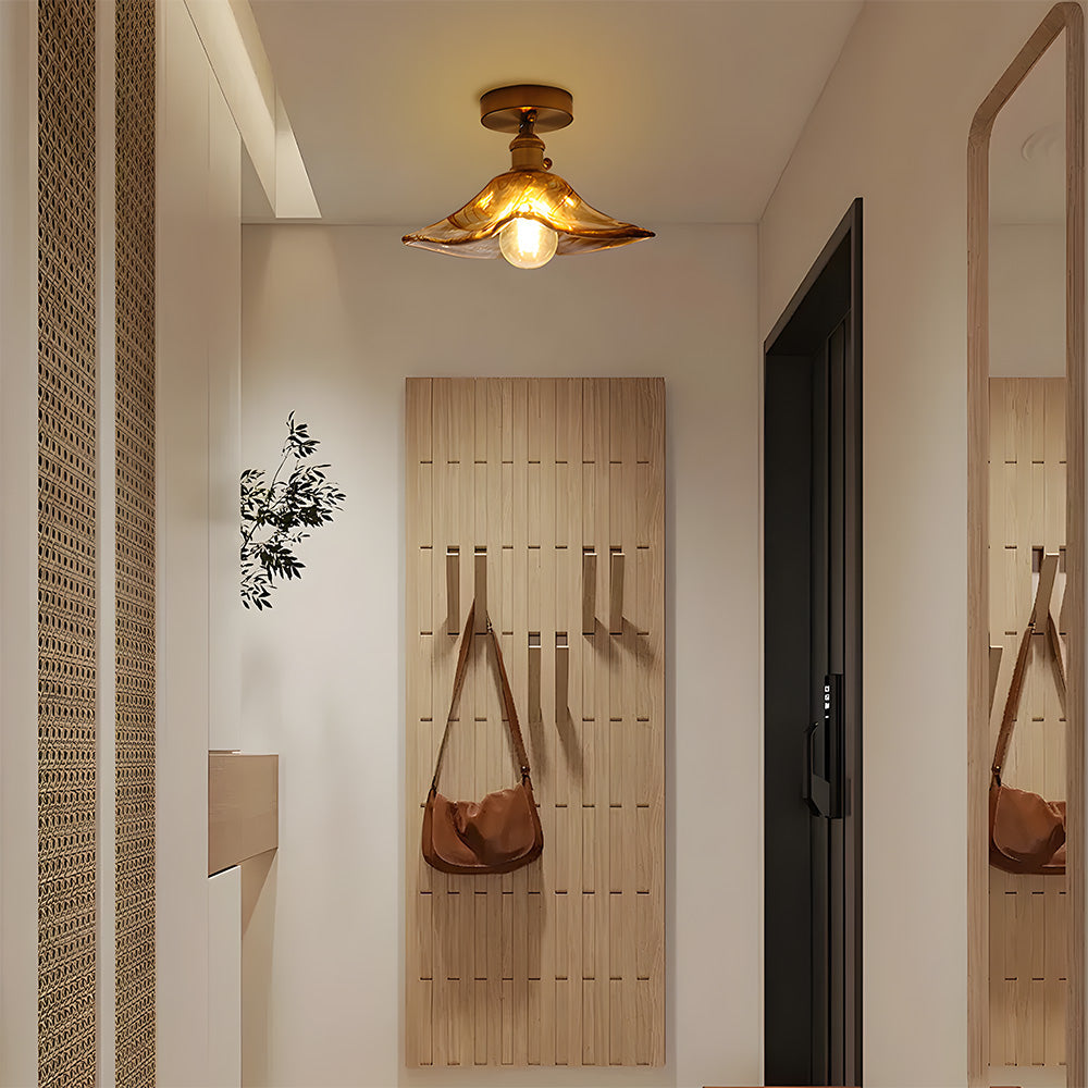 Vluro Ceiling Light