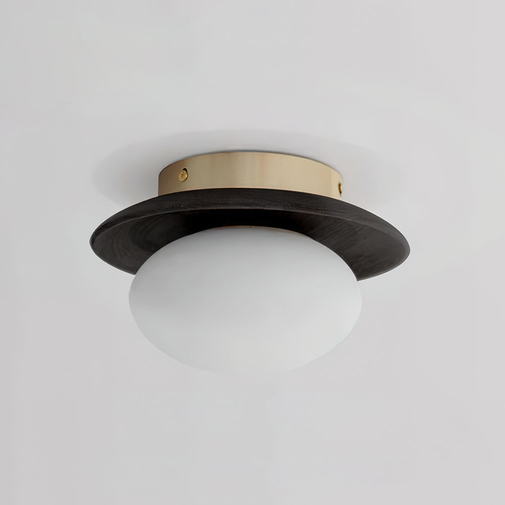 Mirezah Ceiling Light