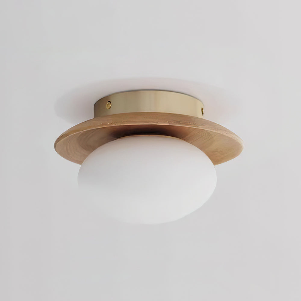 Mirezah Ceiling Light