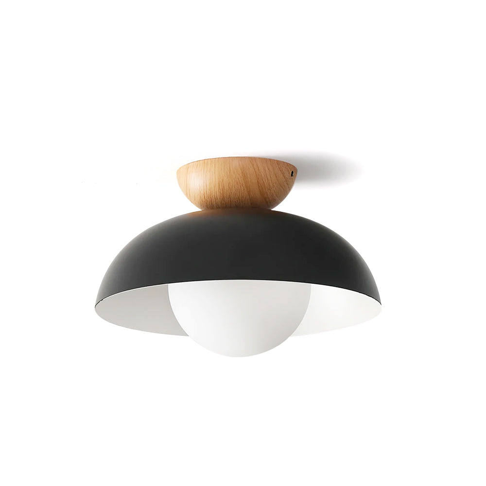 Merrarley Ceiling Light