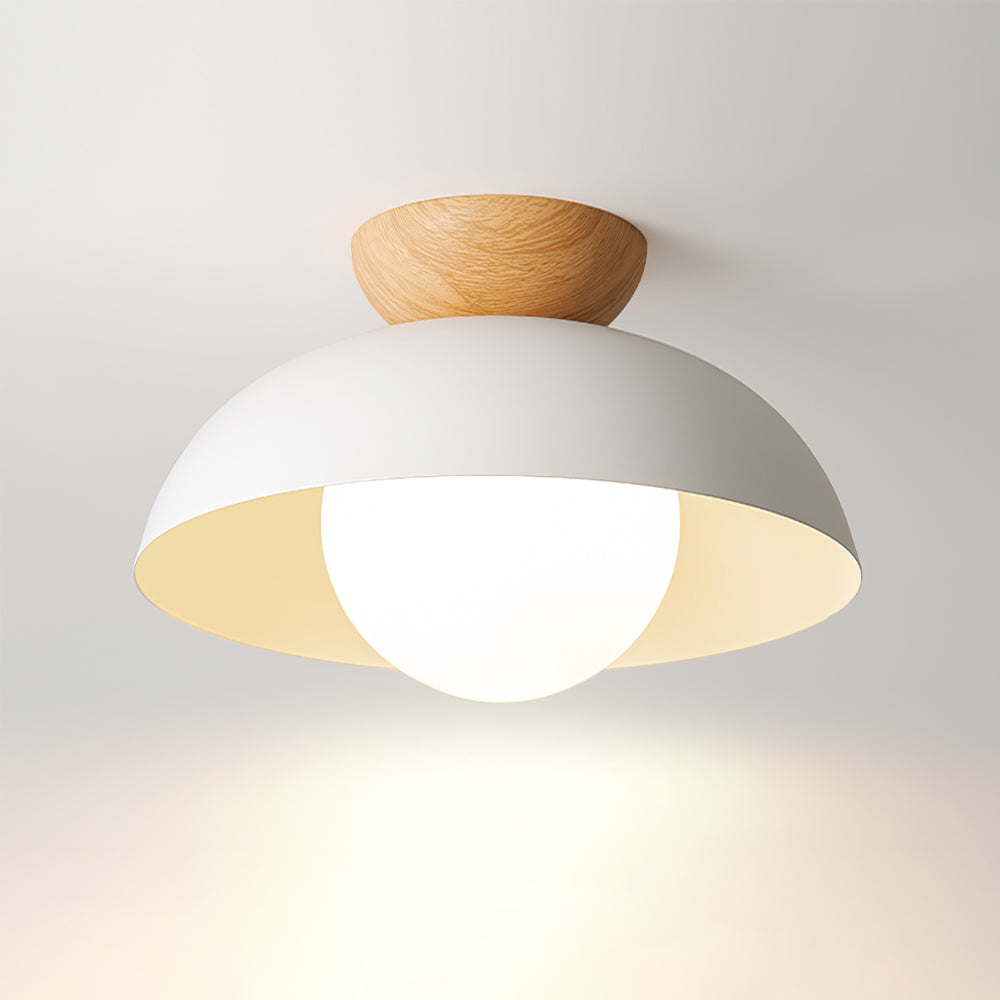 Merrarley Ceiling Light