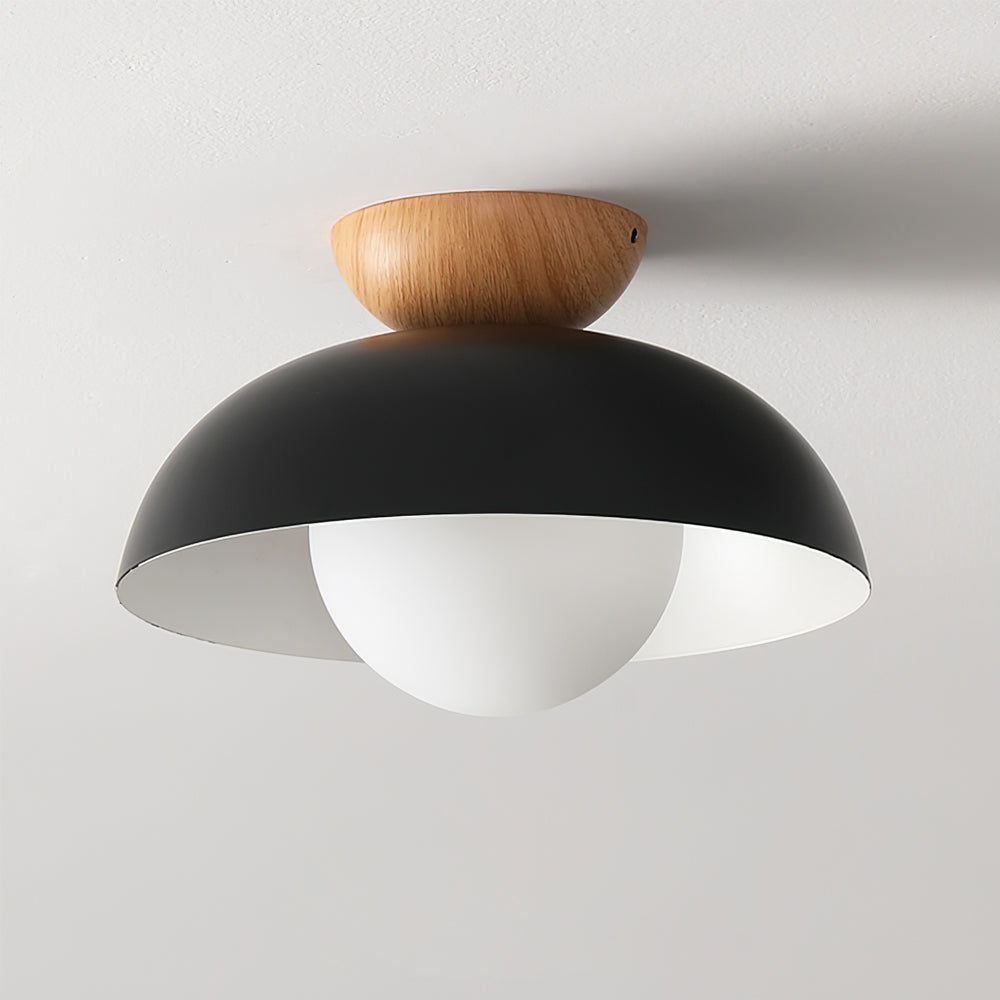 Merrarley Ceiling Light
