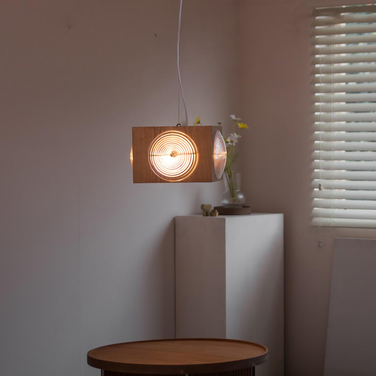 Wooden Vintage Camera Pendant Light