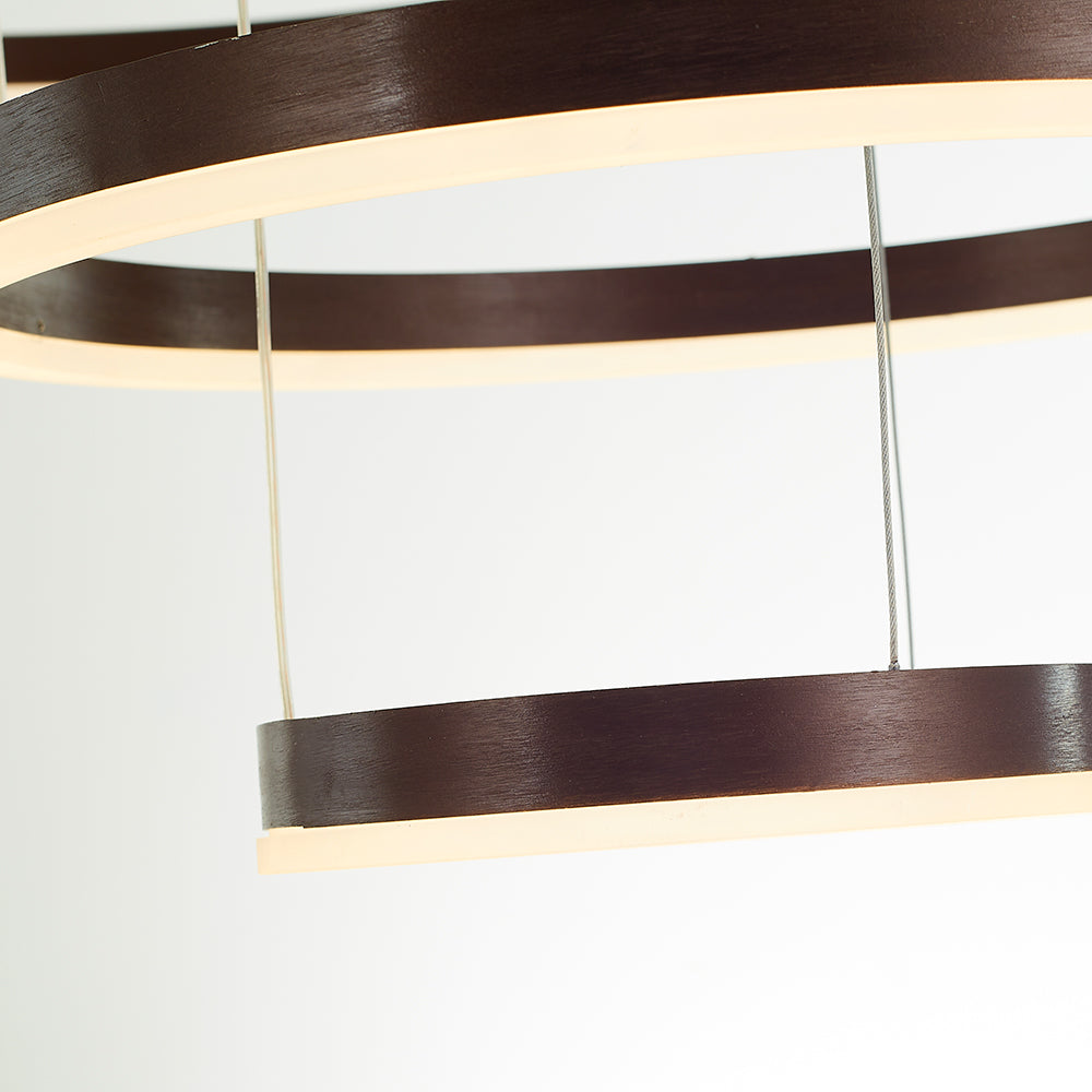 Lorenna Ring Pendant Light