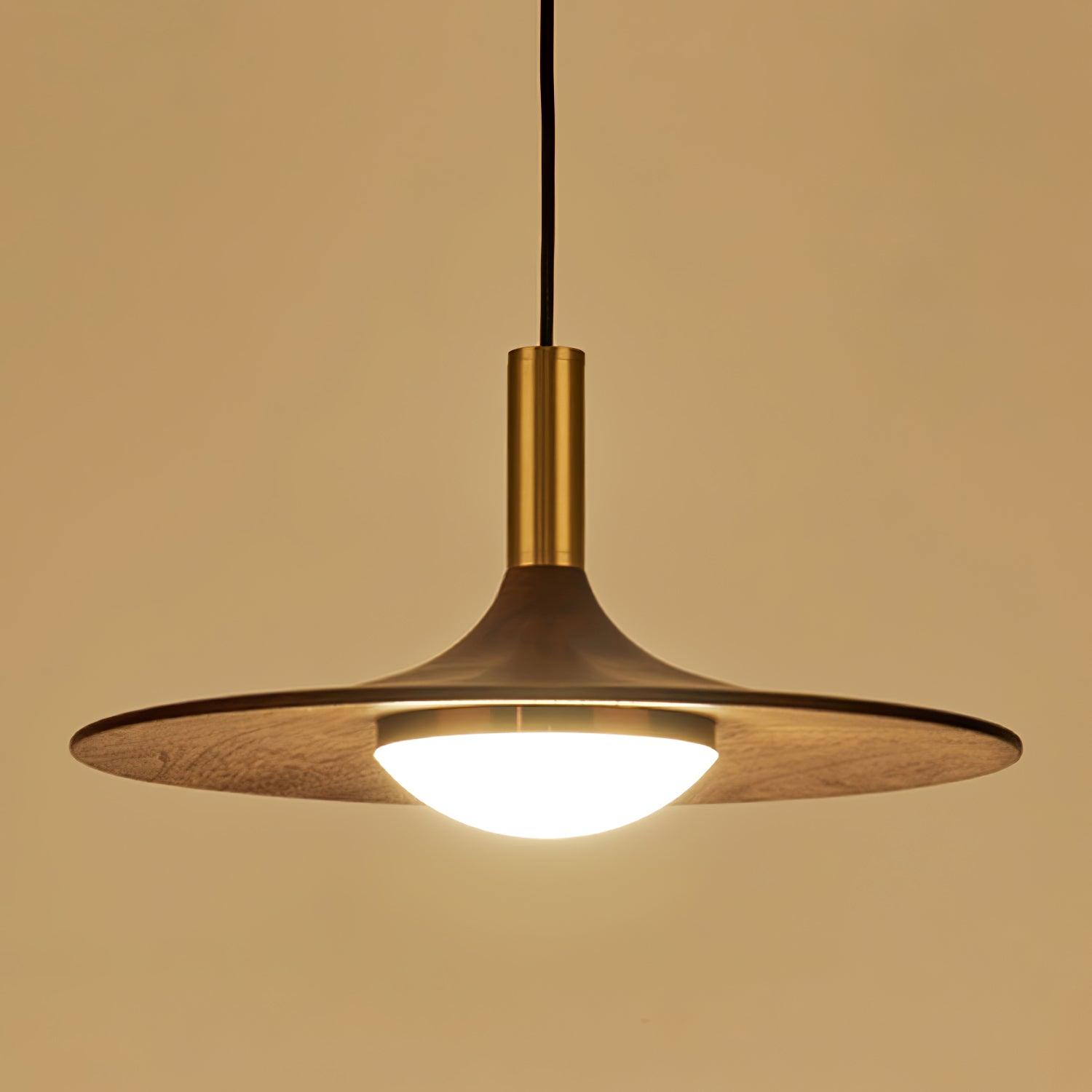 Dewuso Pendant Light