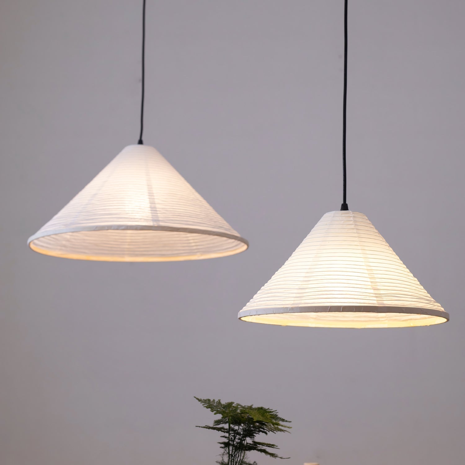 Woosci Pendant Light