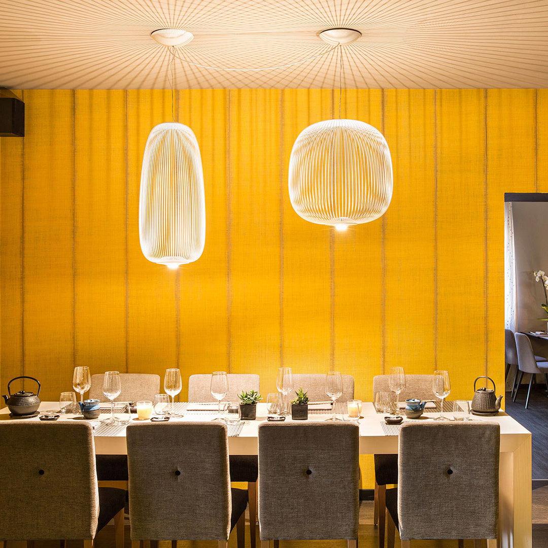 Enloria Cage Pendant Light