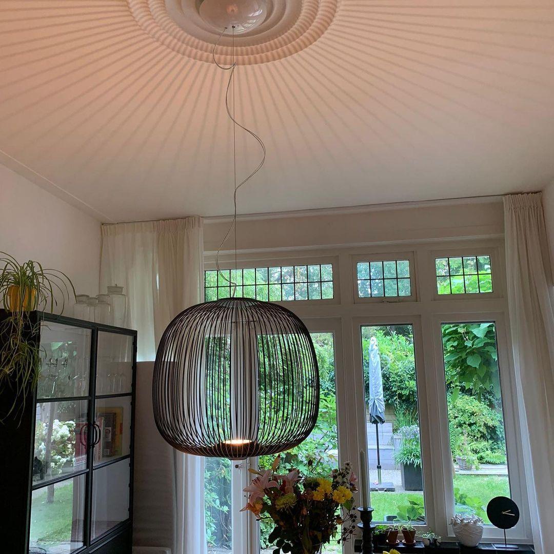 Enloria Cage Pendant Light