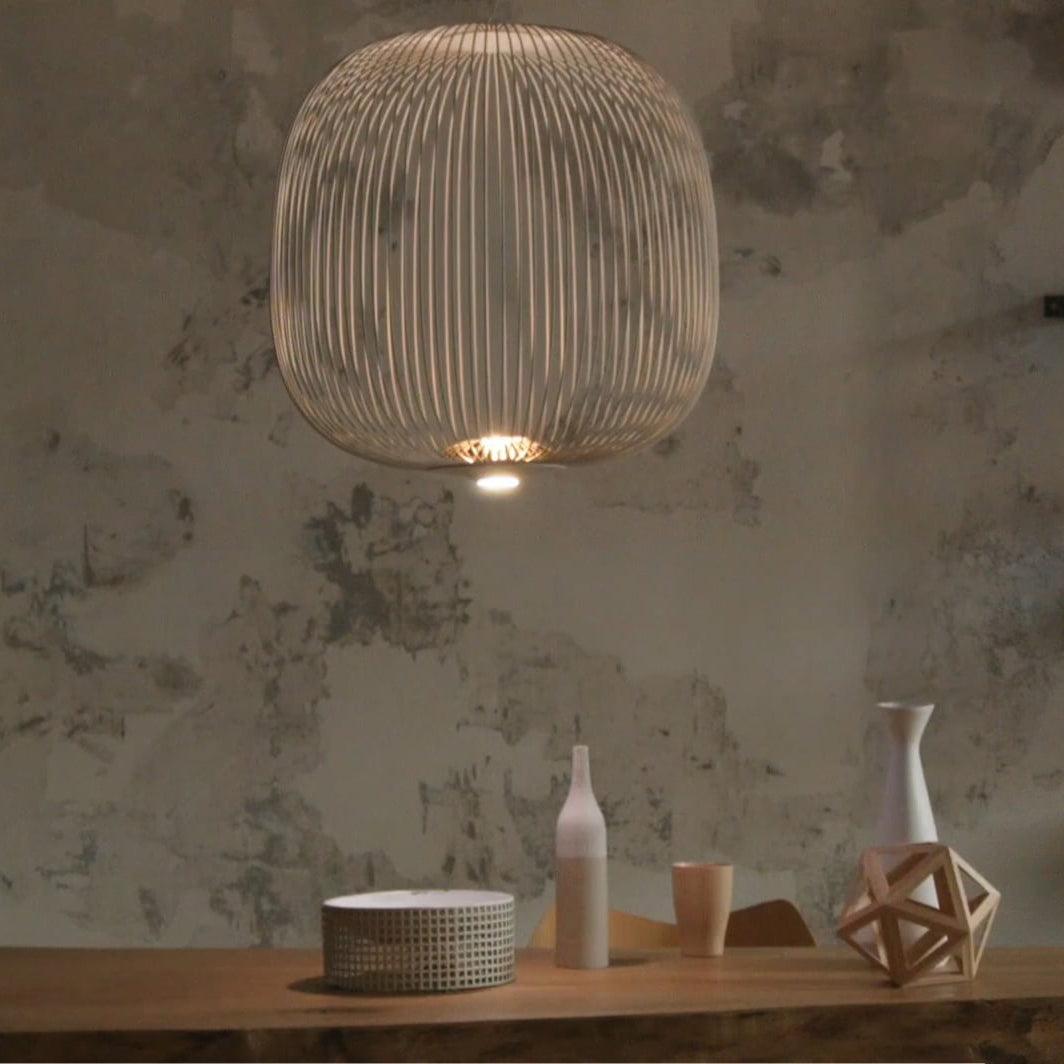 Enloria Cage Pendant Light