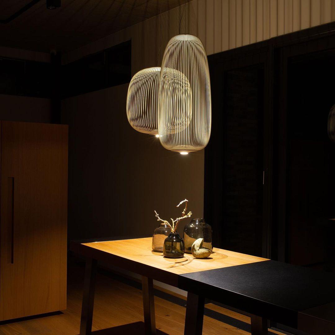 Enloria Cage Pendant Light