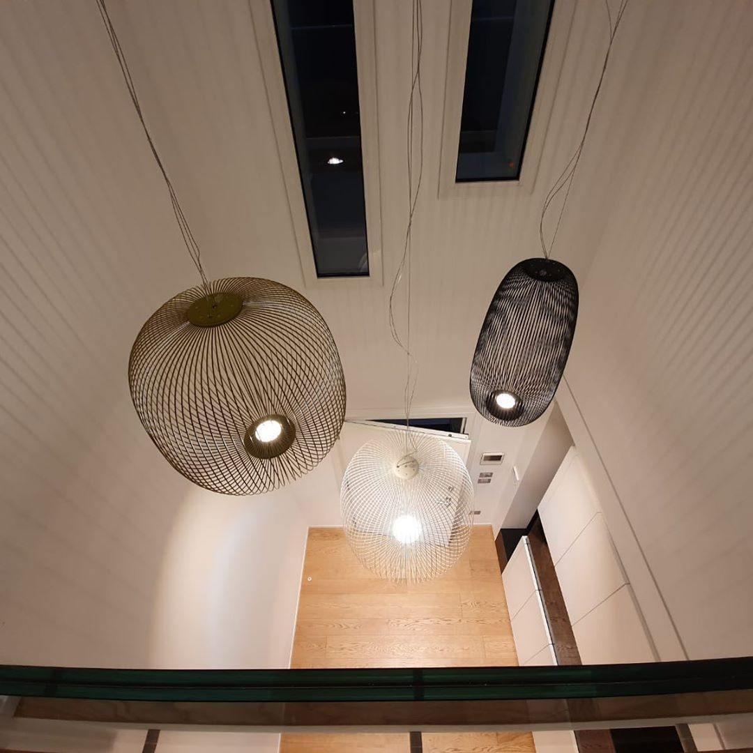 Enloria Cage Pendant Light