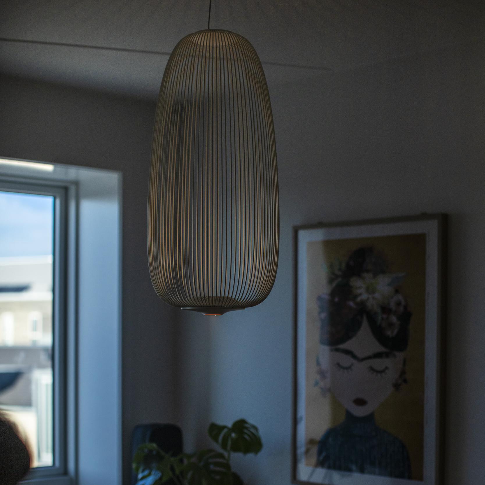 Enloria Cage Pendant Light
